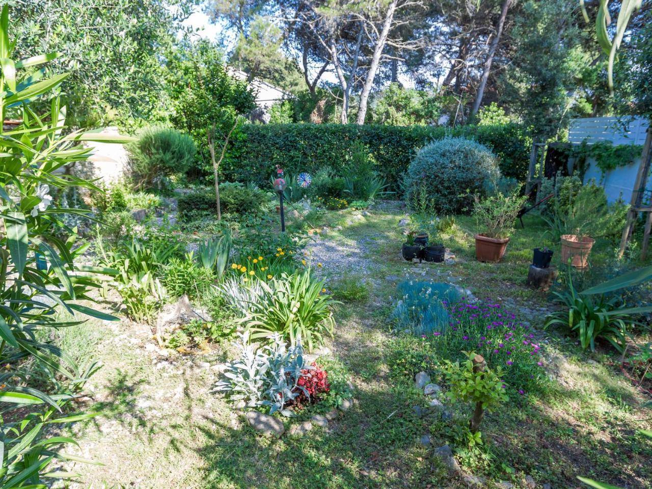 Spacious Holiday Home In Molat With Pool Brgulje 外观 照片